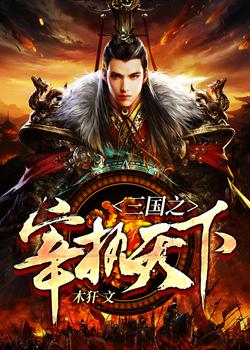 三国之宰执天下