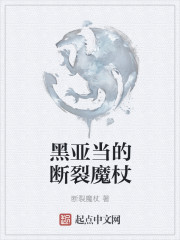 黑亚当的断裂魔杖