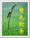 小舅
