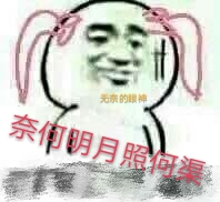 奈何明月照河渠（限）