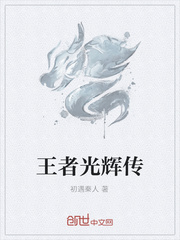 王者光辉传