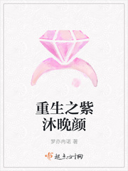 重生之紫沐晚颜