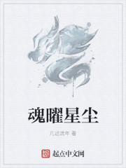 魂曜星尘