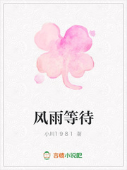 风雨等待