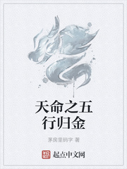 天命之五行归金