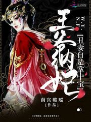 王爷纳妃：丑妻自是掌中宝