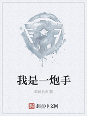 我是一炮手