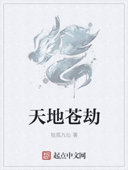 天地苍劫