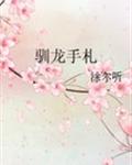 驯龙手札