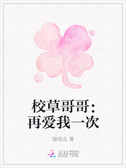 校草哥哥：再爱我一次