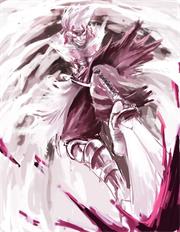 首席体验师