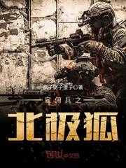 雇佣兵之北极狐