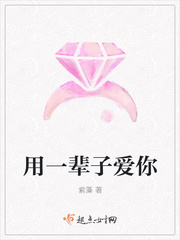用一辈子爱你