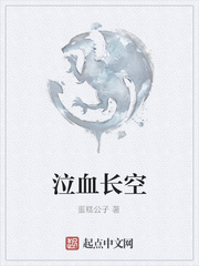 泣血长空