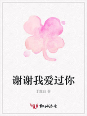 谢谢我爱过你