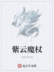 紫云魔杖