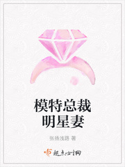 模特总裁明星妻