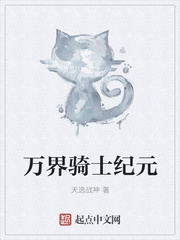 骑士纪元