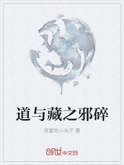 道与藏之邪碎