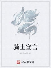 骑士宣言