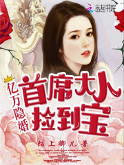 亿万隐婚：首席大人捡到宝