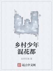 乡村少年混花都