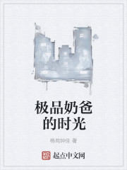极品奶爸的时光