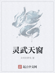 灵武天窗