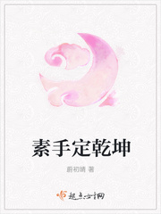 素手定乾坤