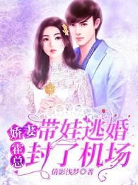 娇妻带娃逃婚？霍总封了机场！