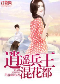 逍遥兵王混花都