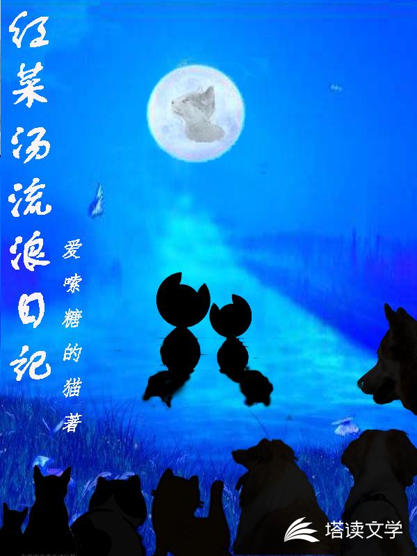 红菜汤流浪日记