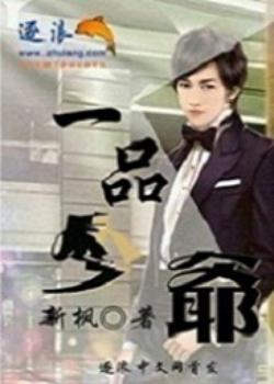 一品少爷