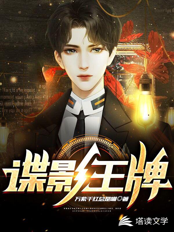 谍影王牌
