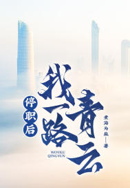 停职后，我一路青云！