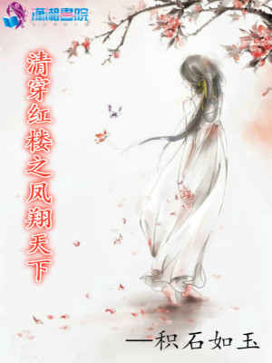 清穿红楼之凤翔天下